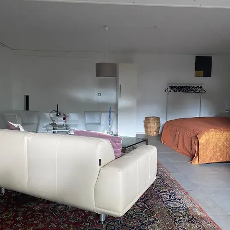 Grosszuegiges Design Komfort-appartement 60 Qm Apartman Nußloch